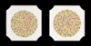 Oculus Colour vision tests by Ishihara, 14 plates