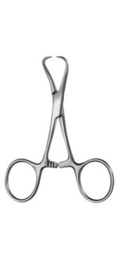 Backhaus Towel Forceps, 8 cm, Item No.: 000708