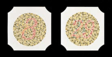 Colour vision tests by Ishihara, 24 plates, Item No.: 017022