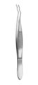 Saupe Cilia Forceps